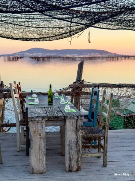 Réouverture de notre établissement à la dégustation d'huitre à Bouzigues près de Sète 