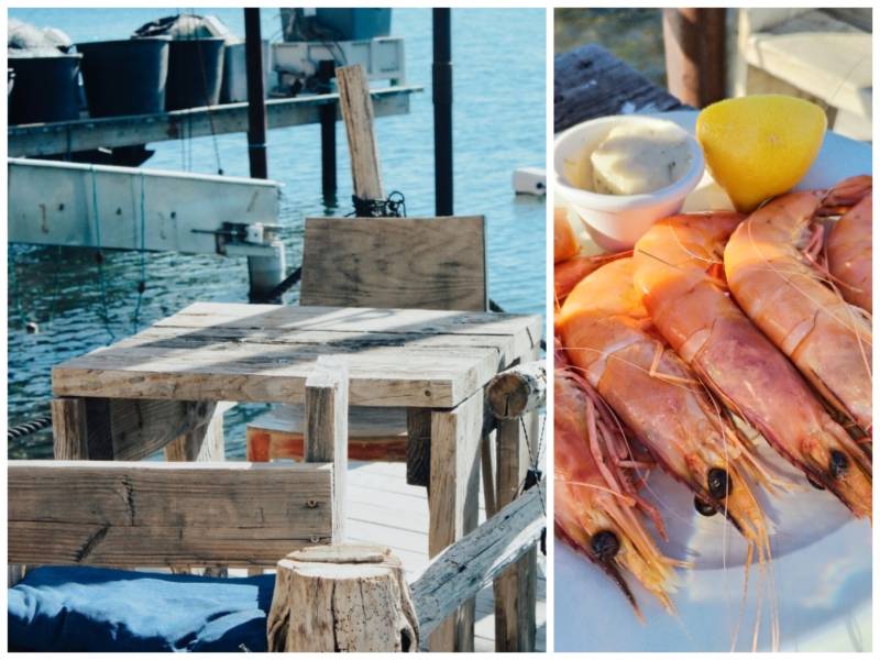 plateau de coquillage ouvert sur plateau Bouzigues 