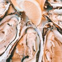 Restaurant de fruits de mer à Bouzigues dans l'étang de Thau