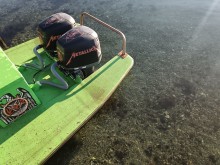L'Ambre de Thau Commander un plateau de fruits de mer pour un repas d'entreprise à Bouzigues dans l'étang de Thau